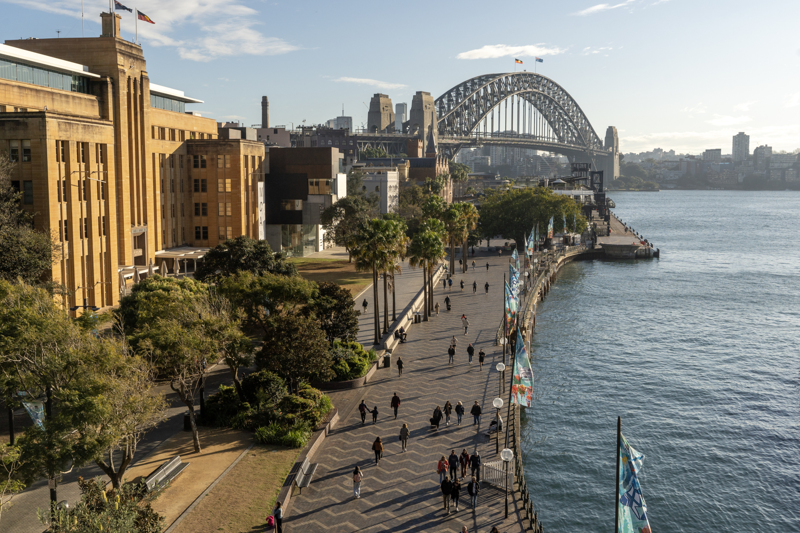 Sydney harbour bridge high view